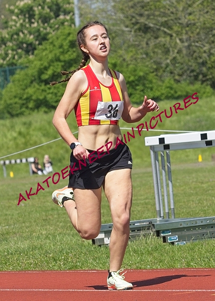20230514ANCHAMPSSUNB0528A.JPG