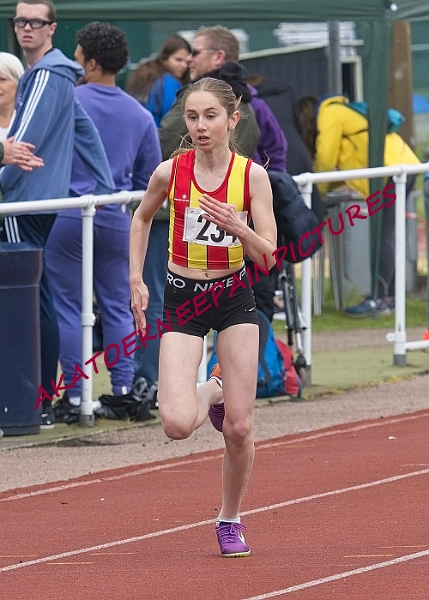 20230514ANCHAMPSSUNB0008A.JPG