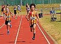 20260509 ANCHAMPSSATC00172A