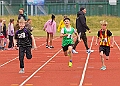 20260510 ANCHAMPSSUNA00109A