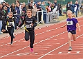 20260510 ANCHAMPSSUNA00142A