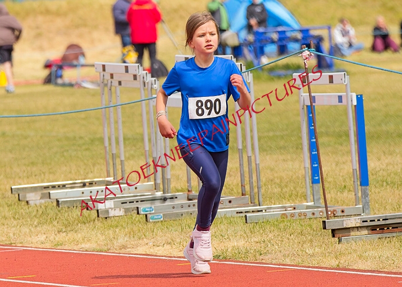 20260510 ANCHAMPSSUNB00007A.JPG