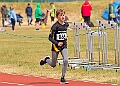 20260510 ANCHAMPSSUNA00593A