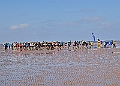 240602BEATTHETIDE0010A