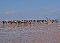 240602BEATTHETIDE0011A
