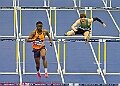 20250222BAINDOORSAT00304A