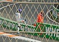 250829DUTCHGPFRI00507A