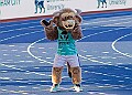 20260810 EUROATHMONDEV00014A