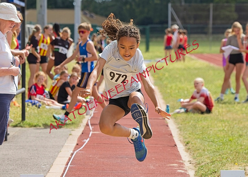 20260628 FUNETICSJUKL00107A.JPG