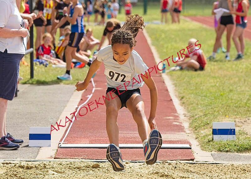 20260628 FUNETICSJUKL00108A.JPG