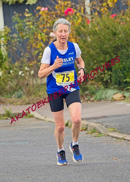 20231112GM10KA0278A.JPG