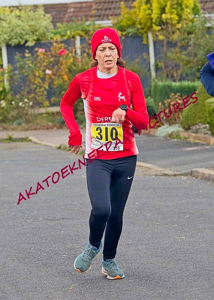 20231112GM10KA0352A.JPG