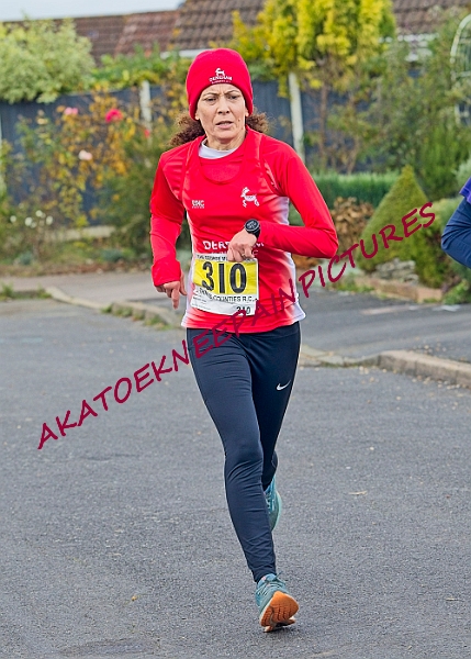 20231112GM10KA0353A.JPG