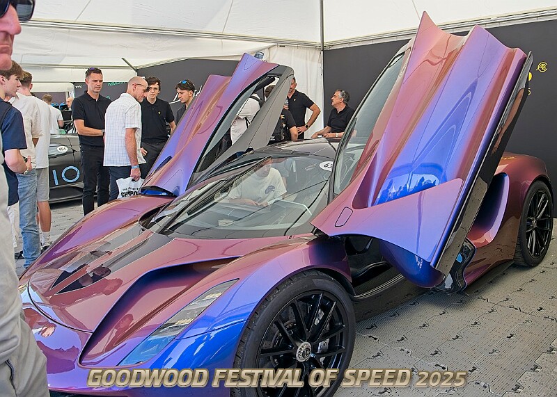 20250710FOSGOODWOOD25A00014A.JPG