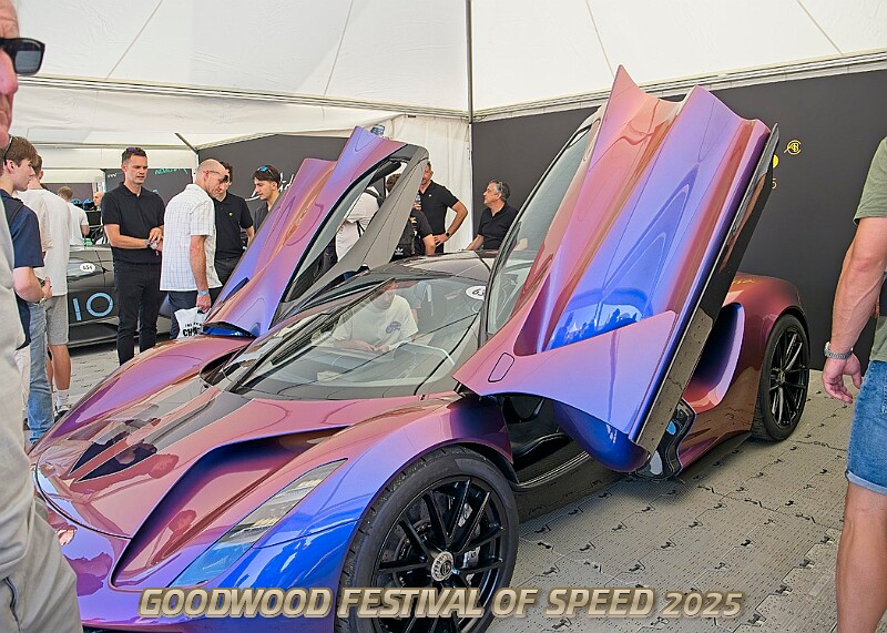 20250710FOSGOODWOOD25A00015A.JPG