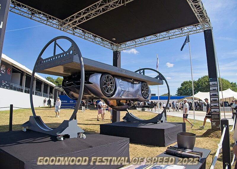 20250710FOSGOODWOOD25A00086A.JPG