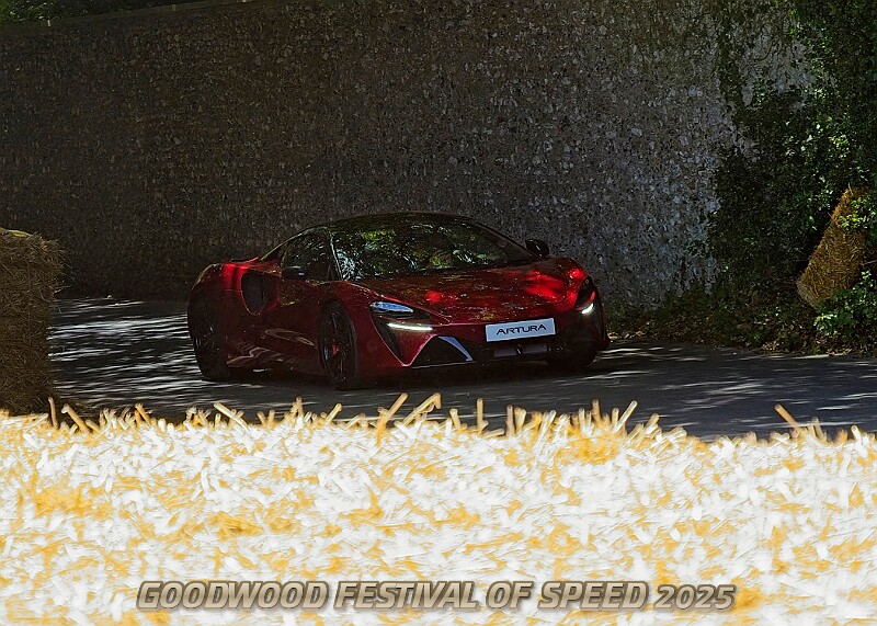 20250710FOSGOODWOOD25A00132A.JPG
