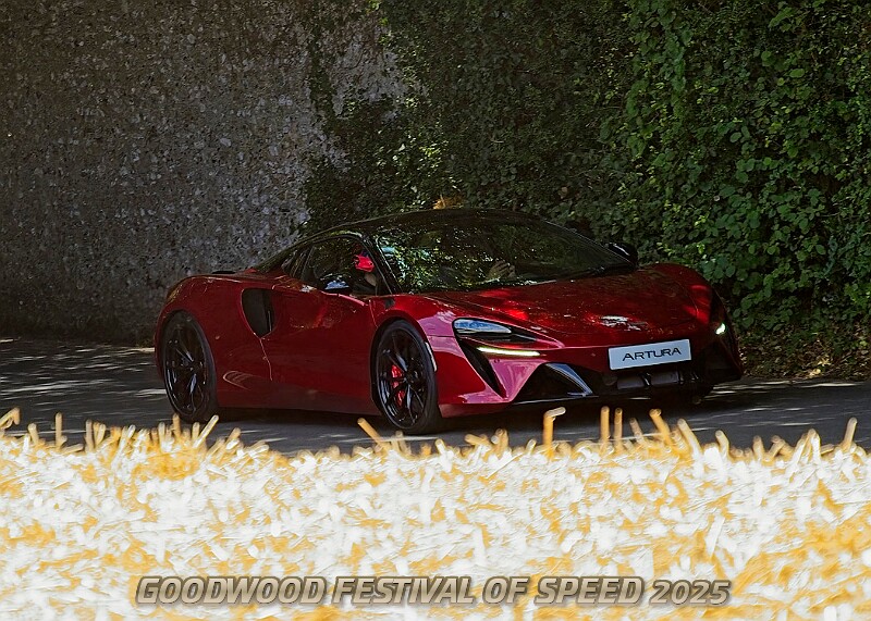 20250710FOSGOODWOOD25A00134A.JPG