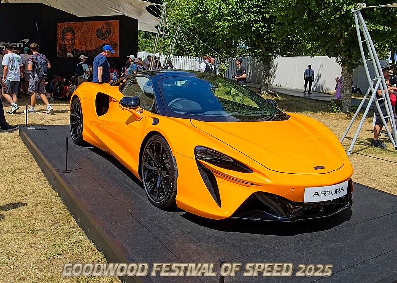 20250710FOSGOODWOOD25A00284A.JPG