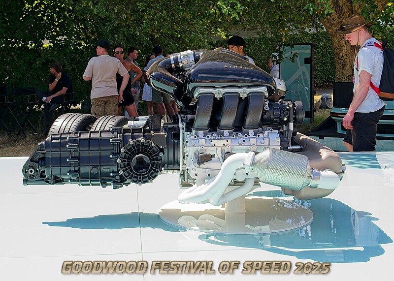 20250710FOSGOODWOOD25A00305A.JPG