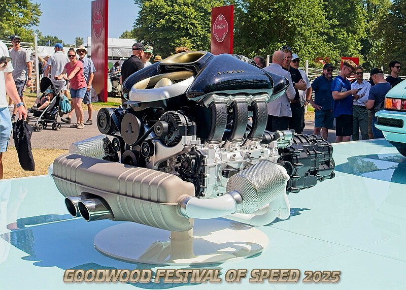 20250710FOSGOODWOOD25A00309A.JPG