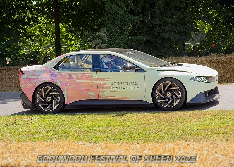 20250710FOSGOODWOOD25A00378A.JPG