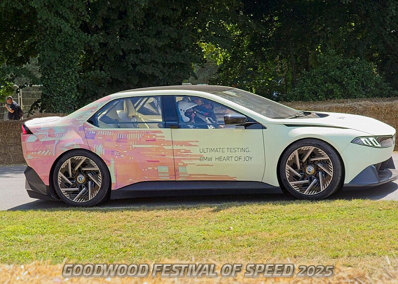 20250710FOSGOODWOOD25A00379A.JPG