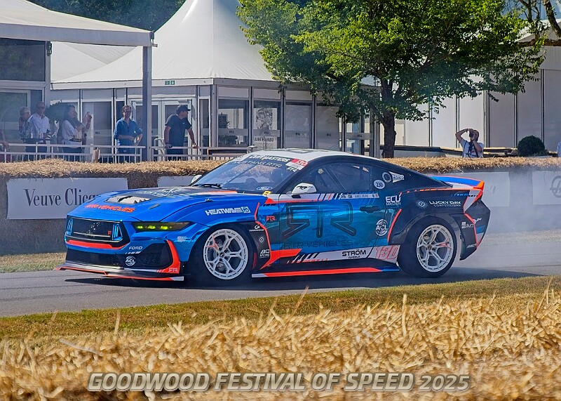 20250710FOSGOODWOOD25B00151A.JPG
