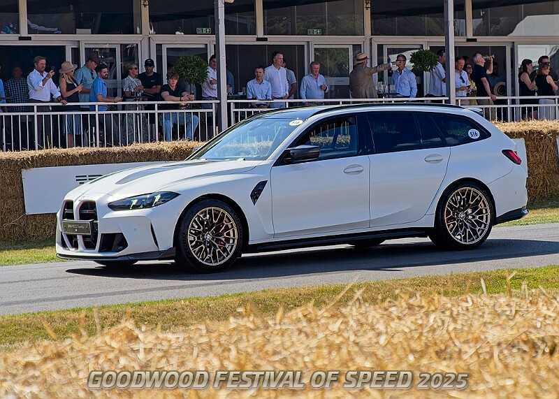 20250710FOSGOODWOOD25B00202A.JPG