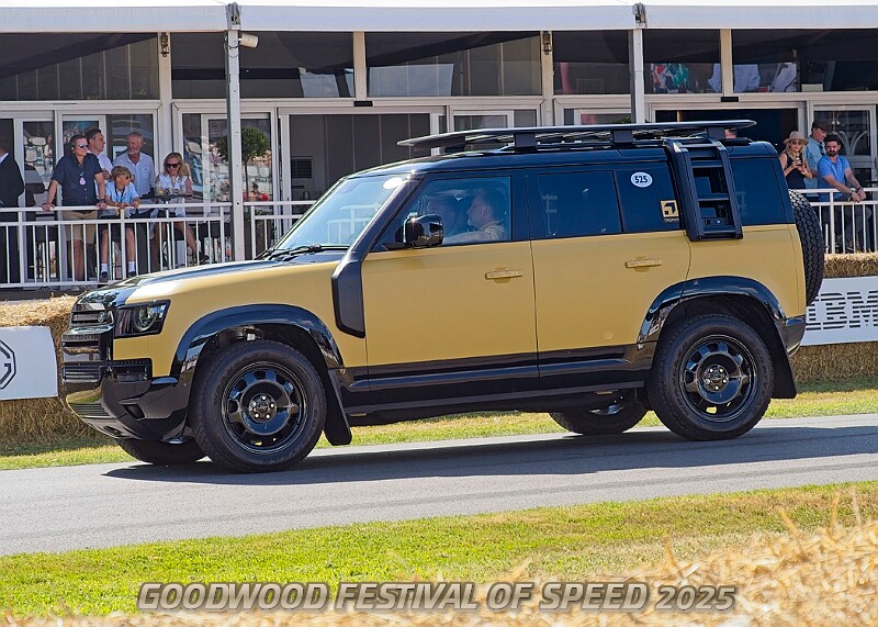 20250710FOSGOODWOOD25B00209A.JPG