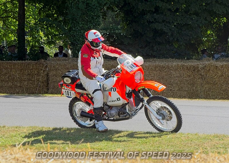 20250710FOSGOODWOOD25B00238A.JPG
