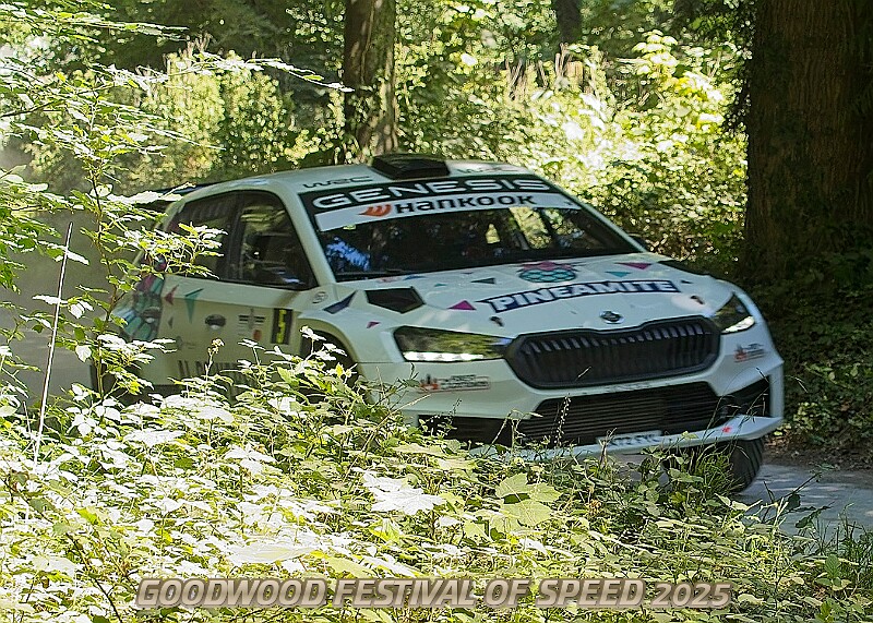 20250711FOSGOODWOOD2500001A.JPG