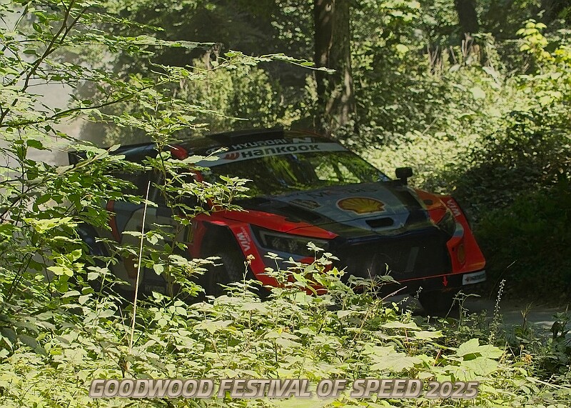 20250711FOSGOODWOOD2500016A.JPG