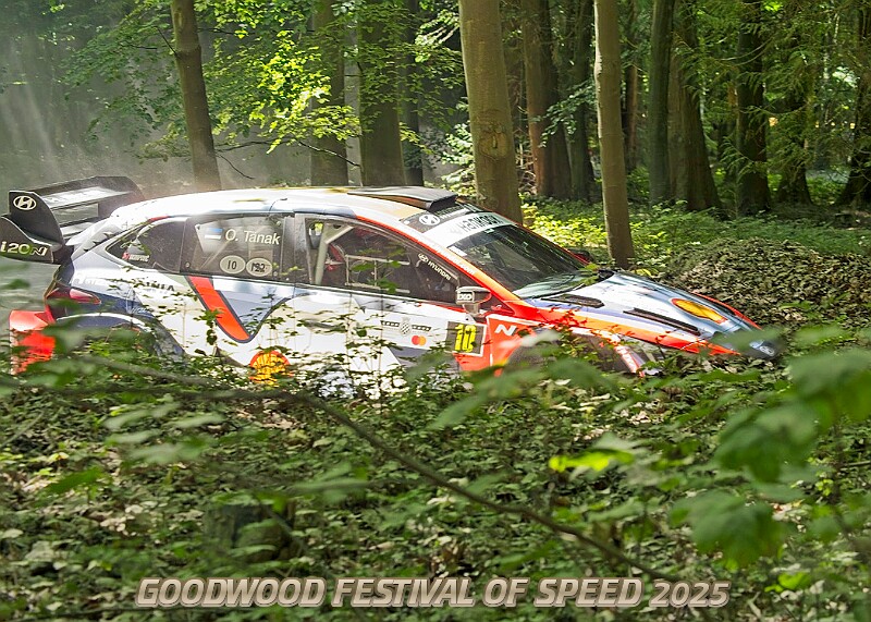 20250711FOSGOODWOOD2500062A.JPG