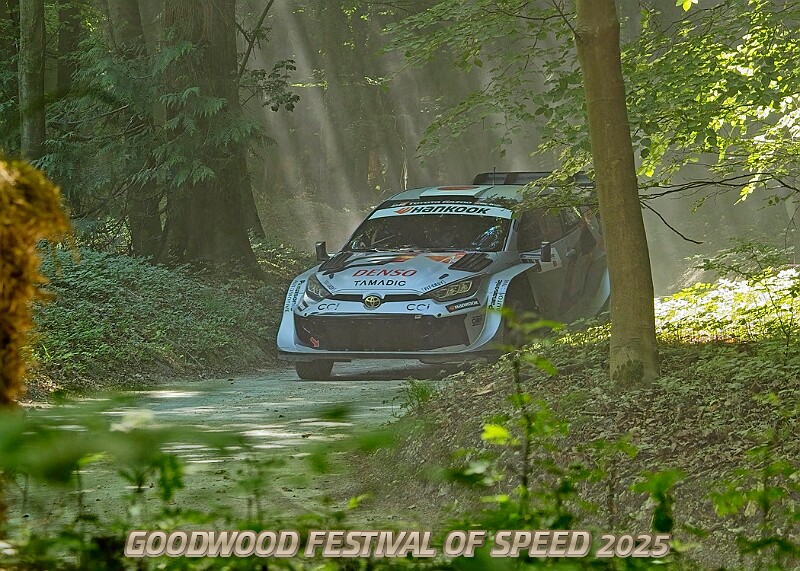 20250711FOSGOODWOOD2500099A.JPG