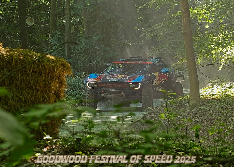 20250711FOSGOODWOOD2500123A.JPG