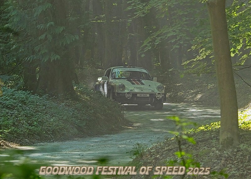 20250711FOSGOODWOOD2500144A.JPG