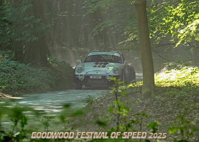 20250711FOSGOODWOOD2500147A.JPG