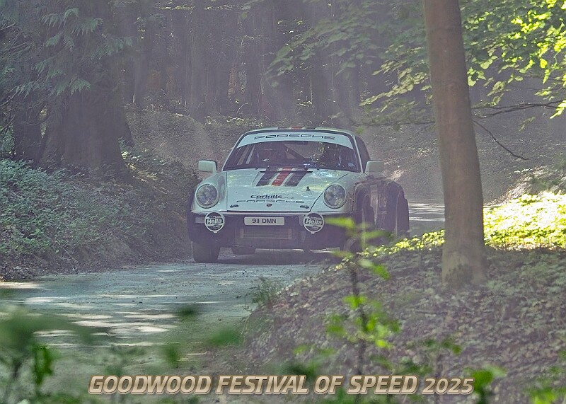 20250711FOSGOODWOOD2500148A.JPG