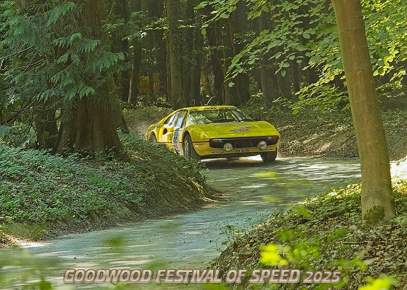 20250711FOSGOODWOOD2500166A.JPG