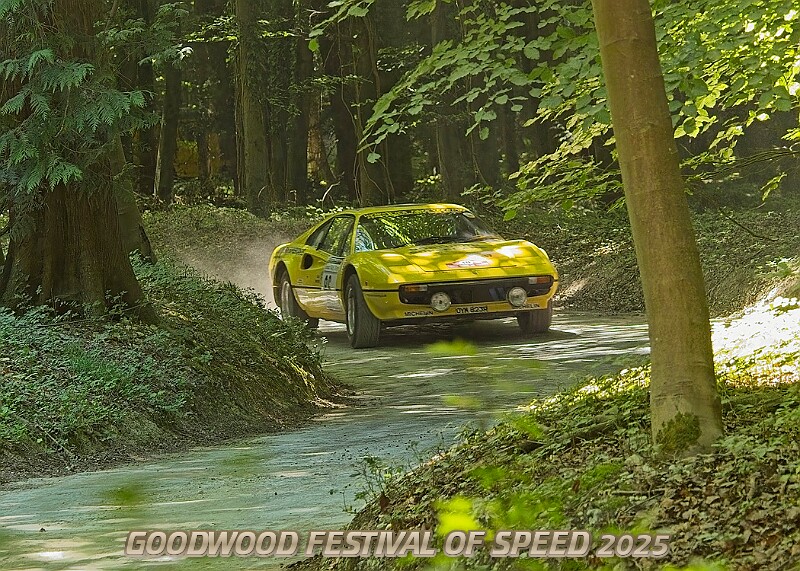 20250711FOSGOODWOOD2500168A.JPG