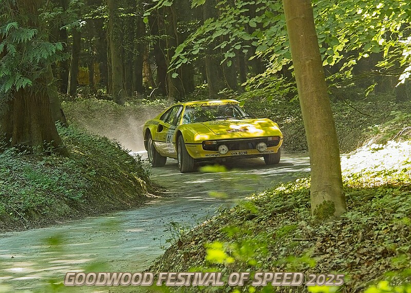 20250711FOSGOODWOOD2500169A.JPG