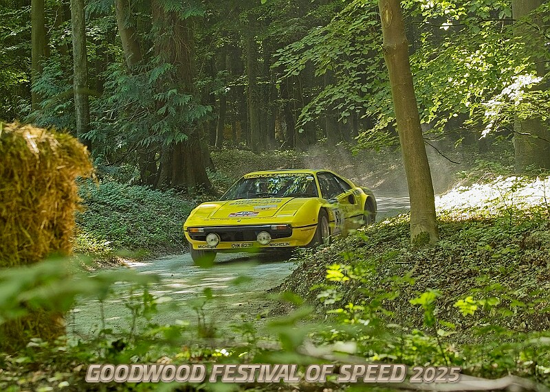 20250711FOSGOODWOOD2500170A.JPG