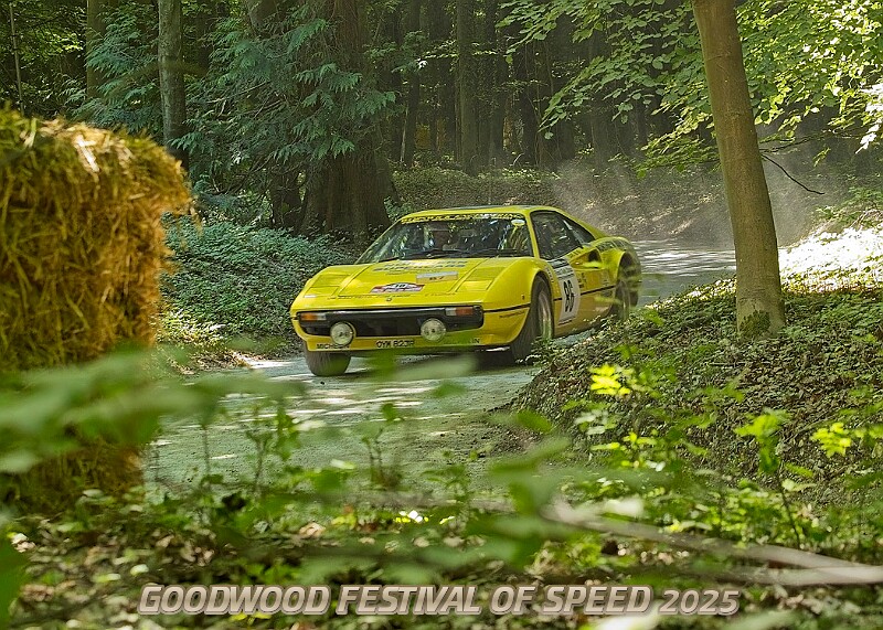 20250711FOSGOODWOOD2500171A.JPG