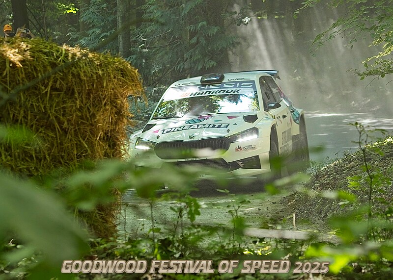 20250711FOSGOODWOOD2500184A.JPG