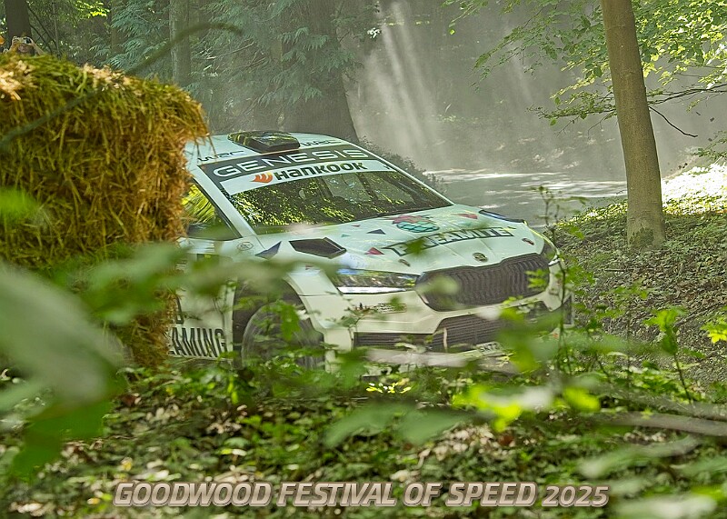 20250711FOSGOODWOOD2500185A.JPG