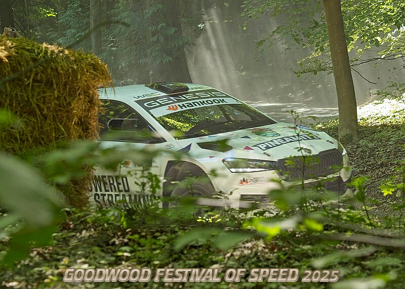 20250711FOSGOODWOOD2500186A.JPG