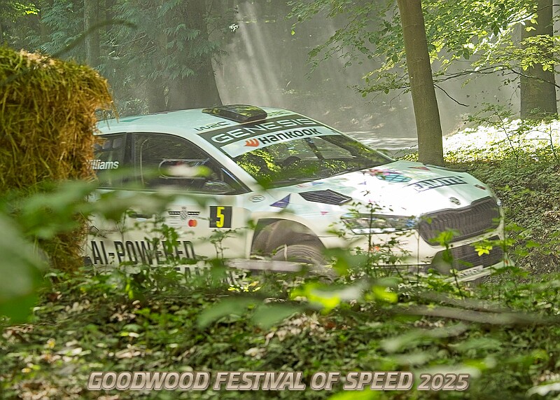 20250711FOSGOODWOOD2500187A.JPG