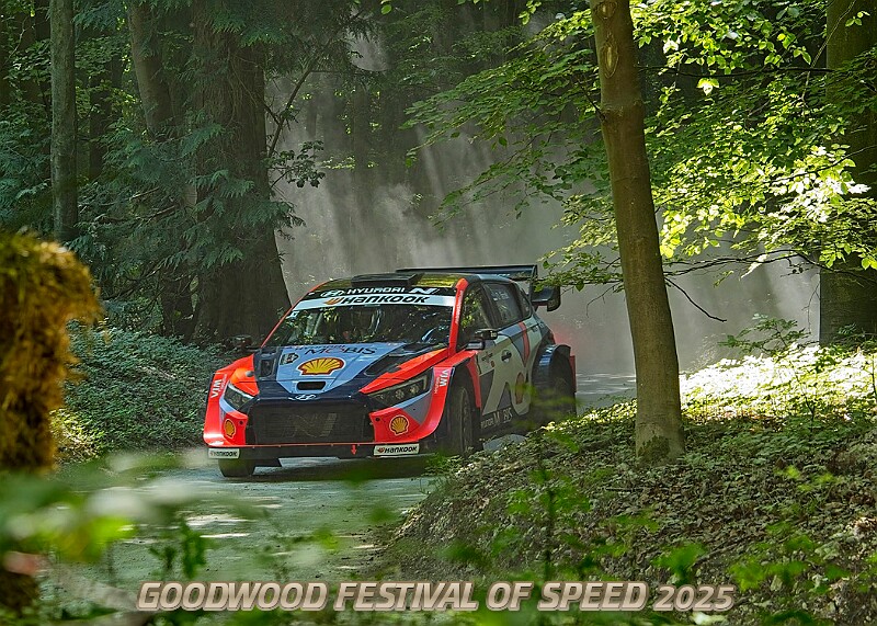 20250711FOSGOODWOOD2500205A.JPG