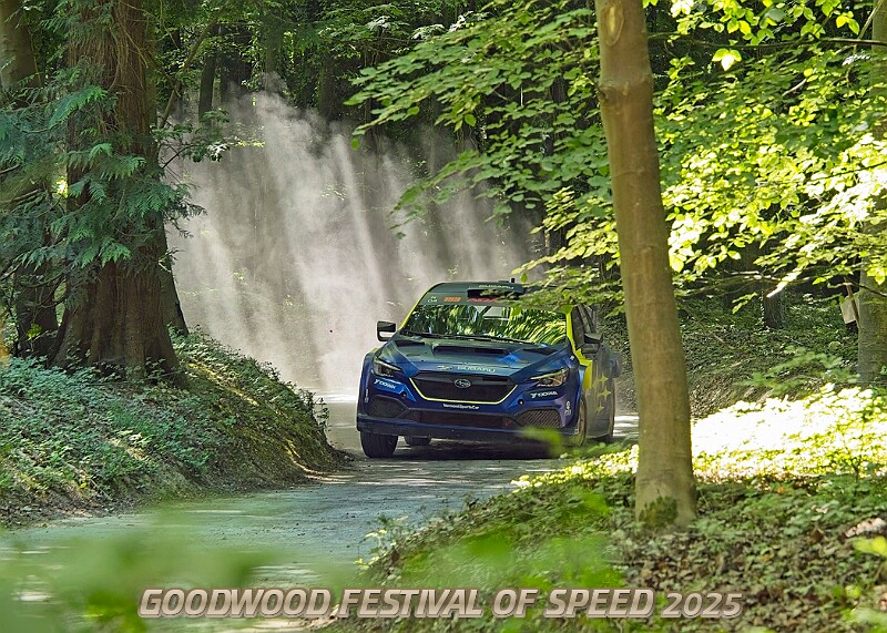 20250711FOSGOODWOOD2500245A.JPG